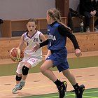 aktuality/bDSCF7178.jpg