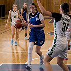 aktuality/bDSCF9632.jpg